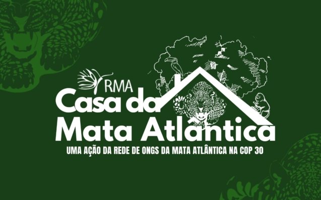 Design sem nome (1)