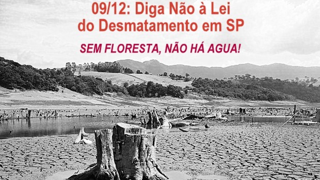 mobilizacao sem floresta nao tem agua 1