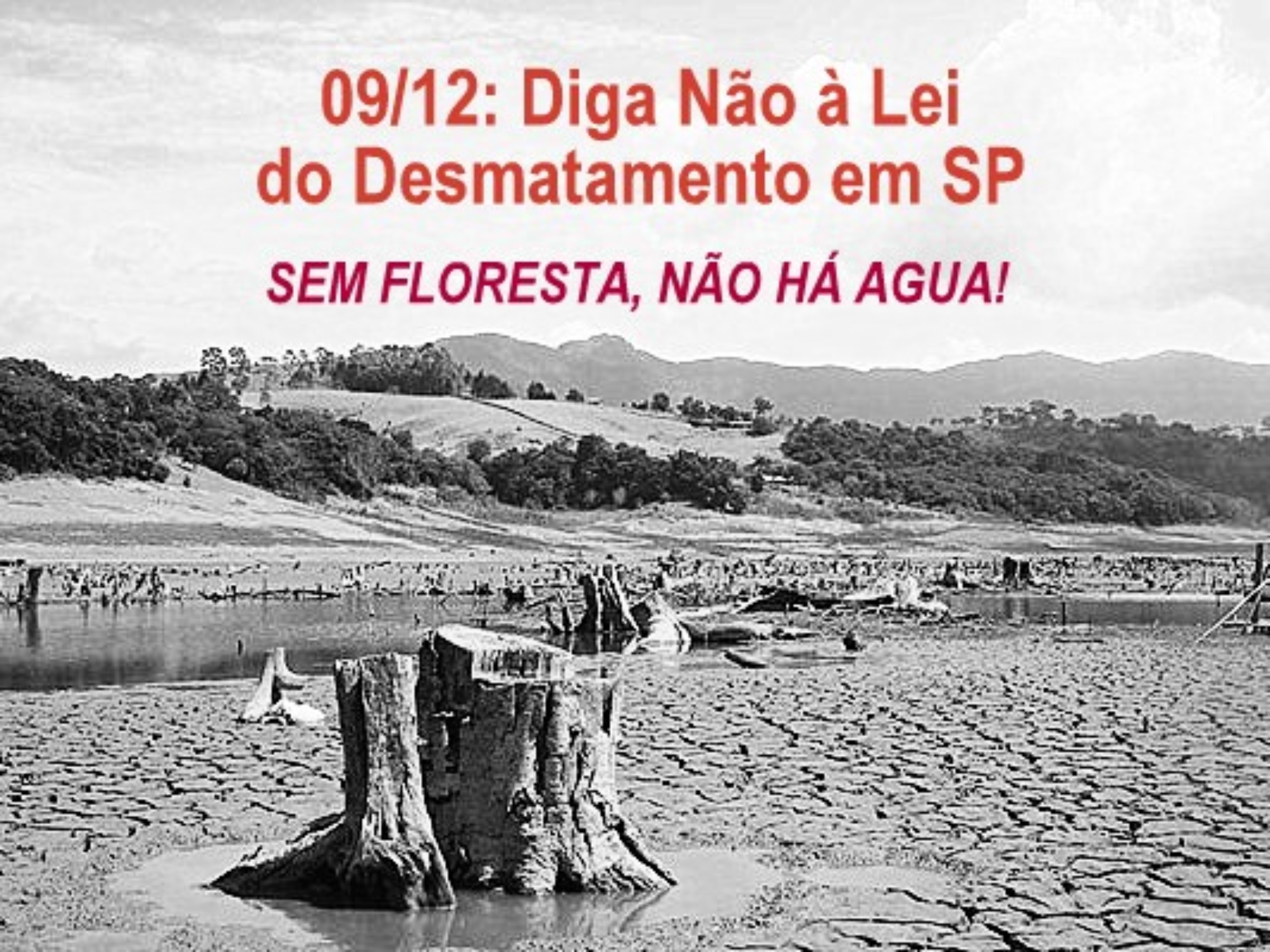 mobilizacao sem floresta nao tem agua 1