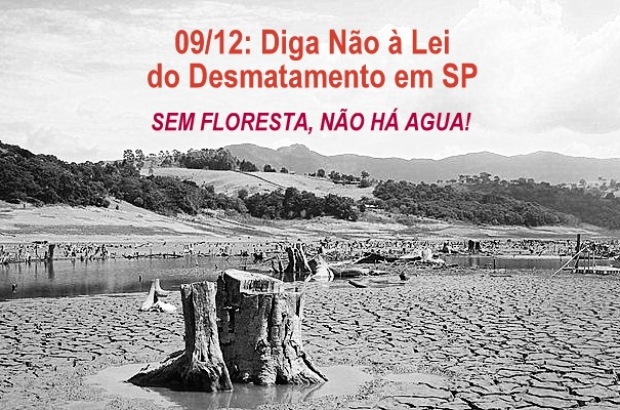 mobilizacao sem floresta nao tem agua 1