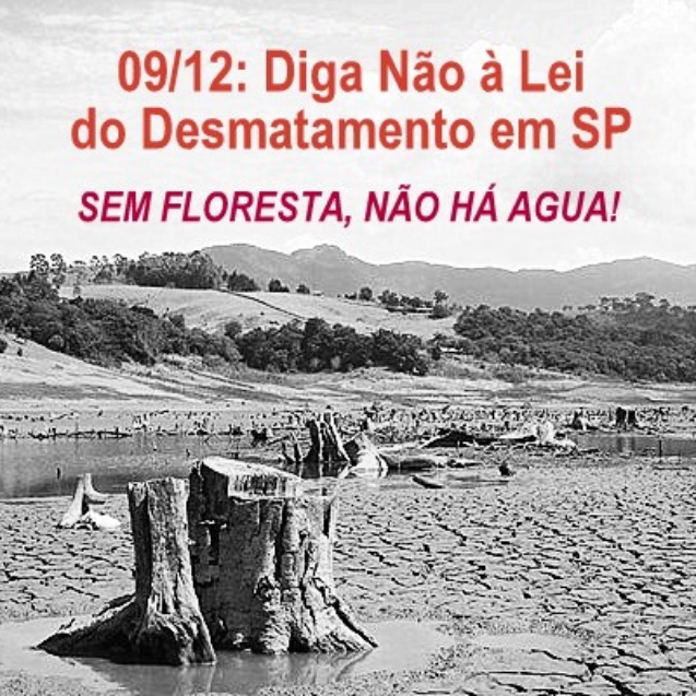 mobilizacao sem floresta nao tem agua 1