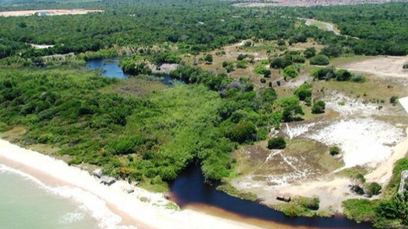 remanescente_estuário Rio Aratu