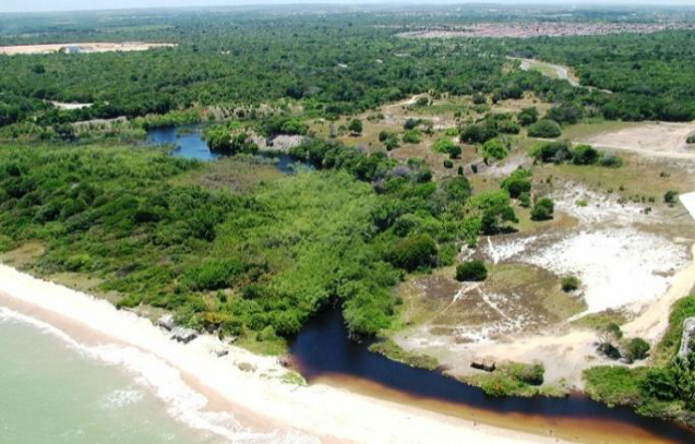 remanescente_estuário Rio Aratu
