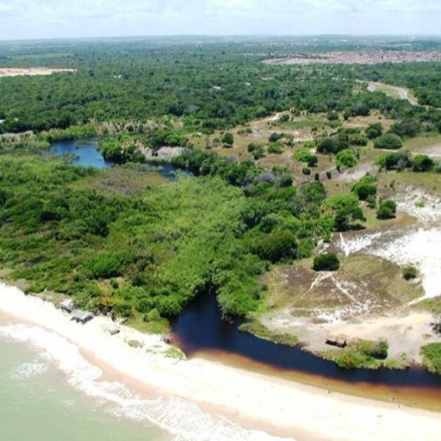 remanescente_estuário Rio Aratu