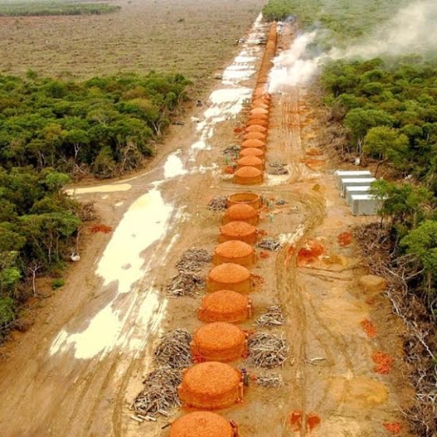 Serra Vermelha carvoarias