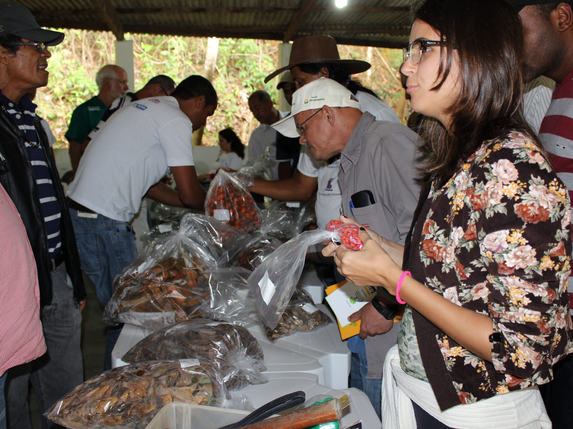 curso de sementes