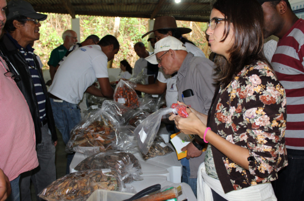 curso de sementes