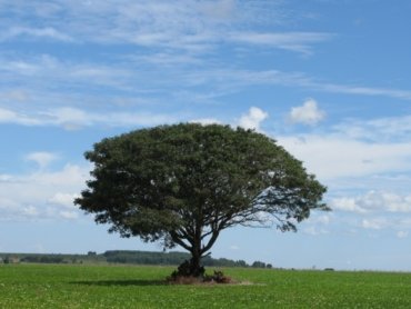 foto Beto Ricardo