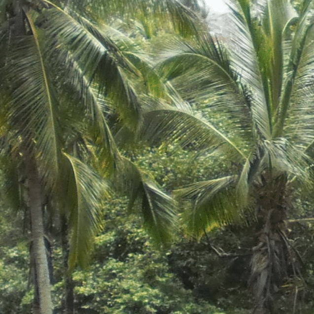 Design sem nome (13)