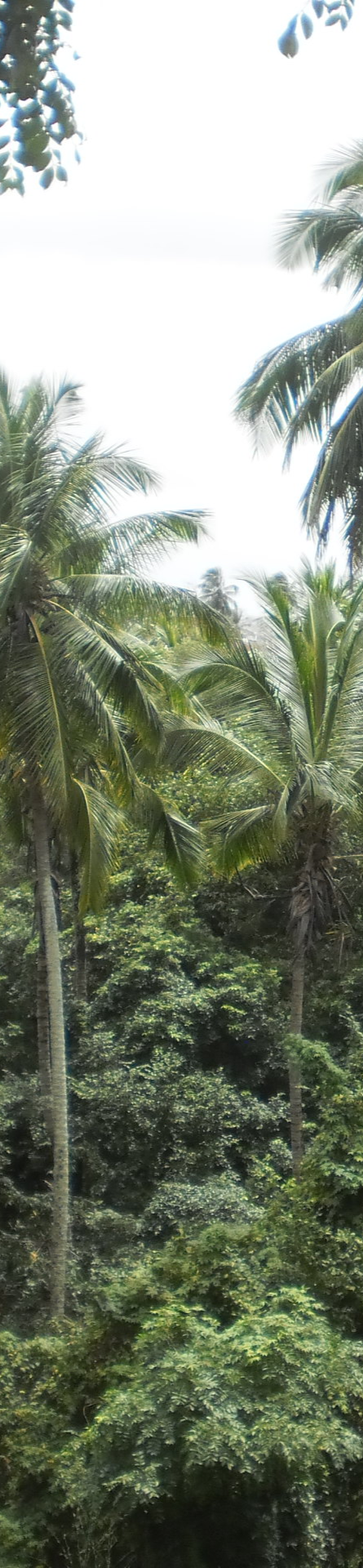 Design sem nome (13)