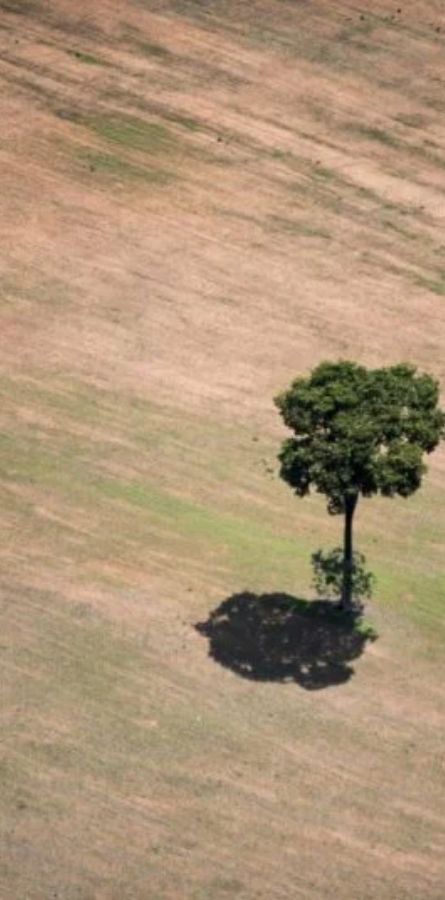 Design sem nome (14)