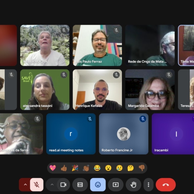 WhatsApp Image 2025-05-29 at 17.49.50