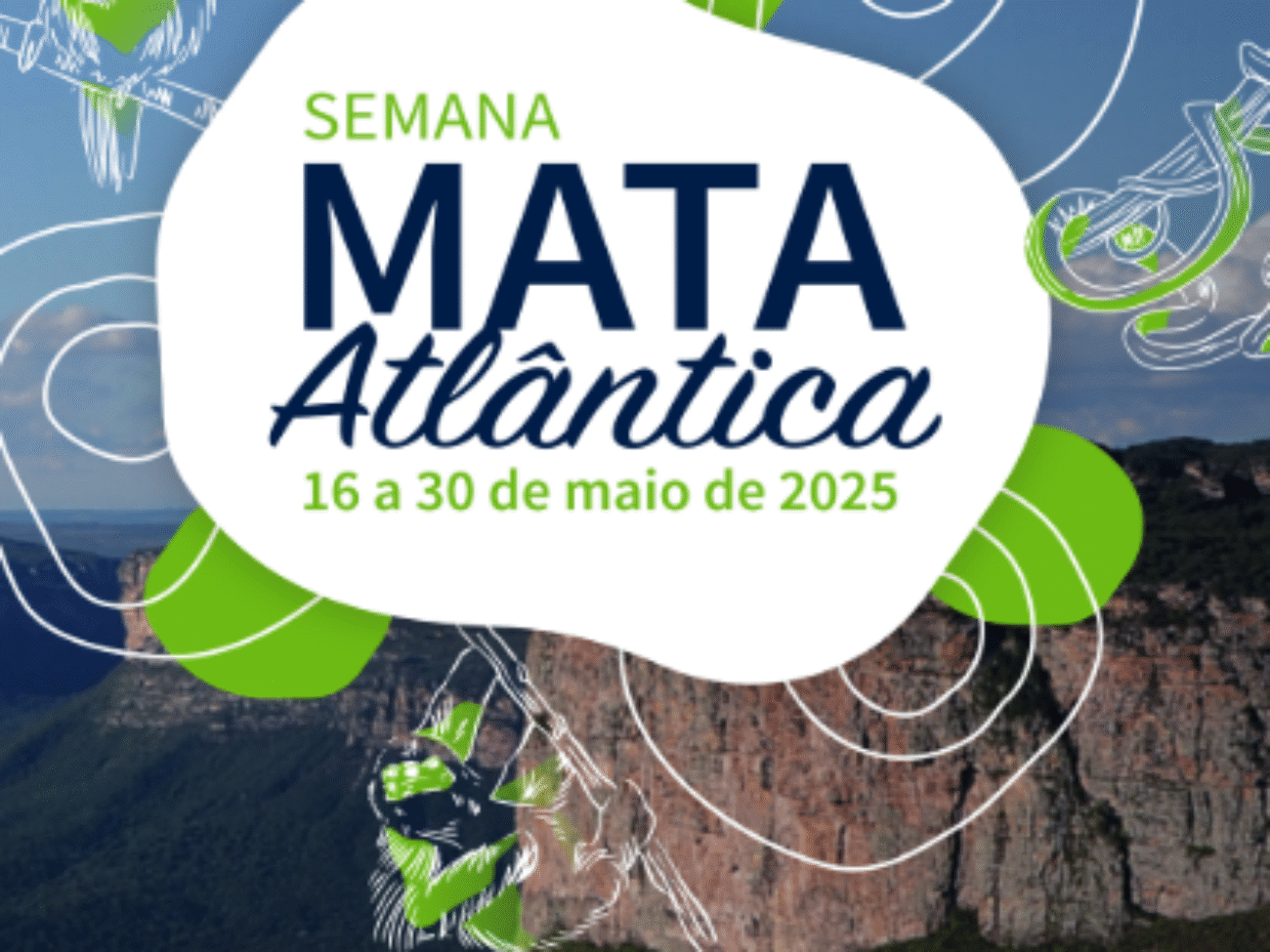 capa mata atlantica