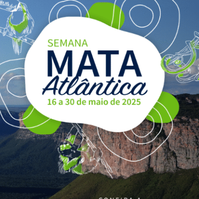 capa mata atlantica