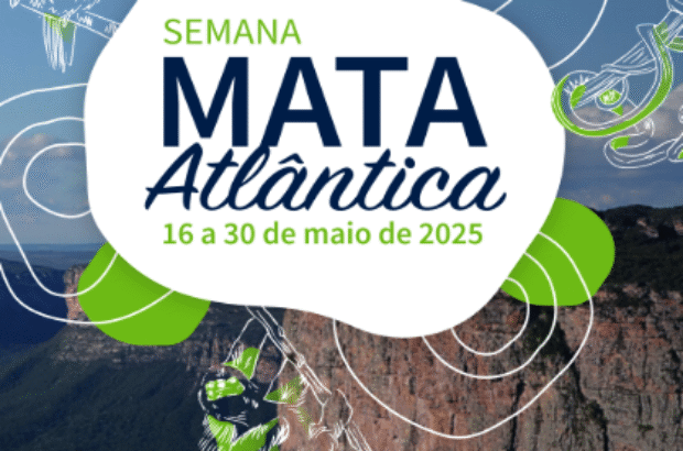 capa mata atlantica