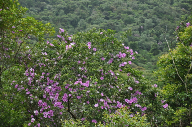 DSC_1026