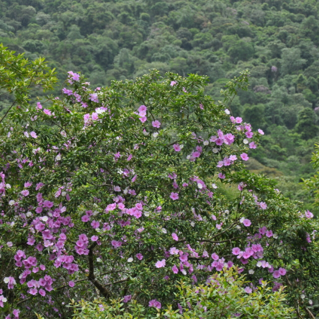 DSC_1026