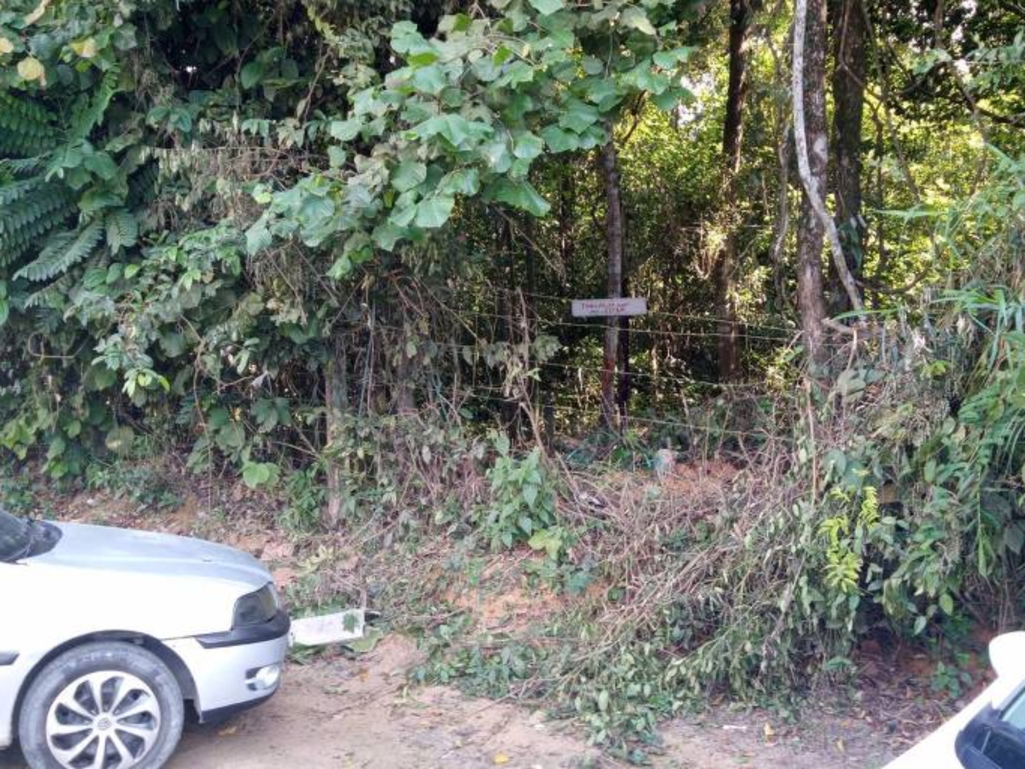 172072445466902be6e9e0c_1720724454_3x2_md